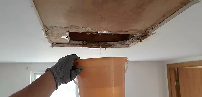 Ceiling Mold Repair Hoschton 