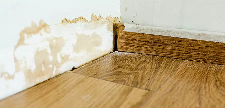 Professional Fix Water Damaged Wood Services in Hoschton, GA